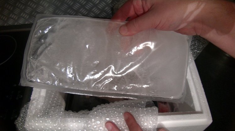 Paketöffnung_Styroporboxgeöffnet_Eisbeutel