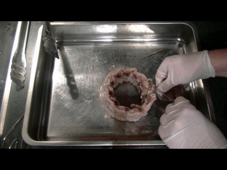 RipperlkronemitSemmelknödelfülleNähen32018-01-22